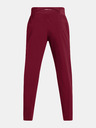Under Armour Herren Under Armour UA OUTRUN THE STORM PANTS-ROT