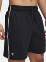 Under Armour Under Armour Herren Pjt Rck Mesh Short