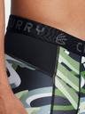 Under Armour Herren Under Armour UA Curry HG Prtd Shorts