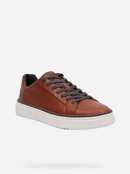 Geox Braun Herren Geox Zackerty Turnschuhe