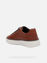 Geox Braun Herren Geox Zackerty Turnschuhe