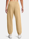 Under Armour Damen Hose Under Armour UA Icon HWT Flc OS Pant-BRN