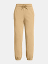 Under Armour Damen Hose Under Armour UA Icon HWT Flc OS Pant-BRN