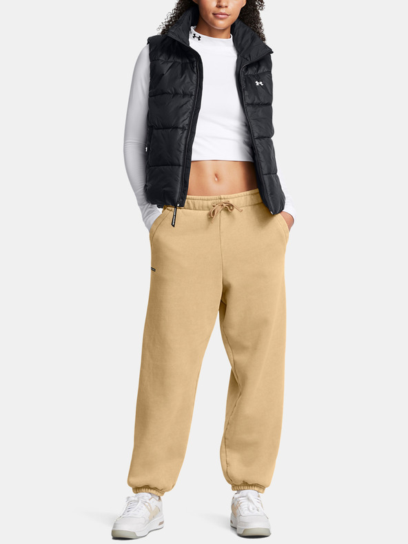 Under Armour Damen Hose Under Armour UA Icon HWT Flc OS Pant-BRN