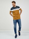 Sam 73 Grau-braunes Herren-T-Shirt SAM 73 Kavix