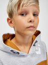 Sam 73 Grauer und brauner Kapuzenpullover für Jungen SAM 73 Leael