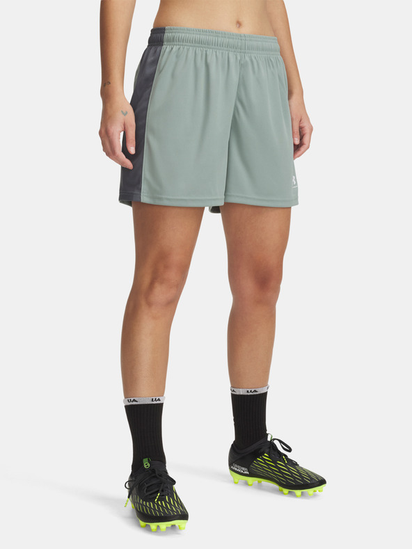 Under Armour Damen Under Armour UA W's Ch. Knit Short