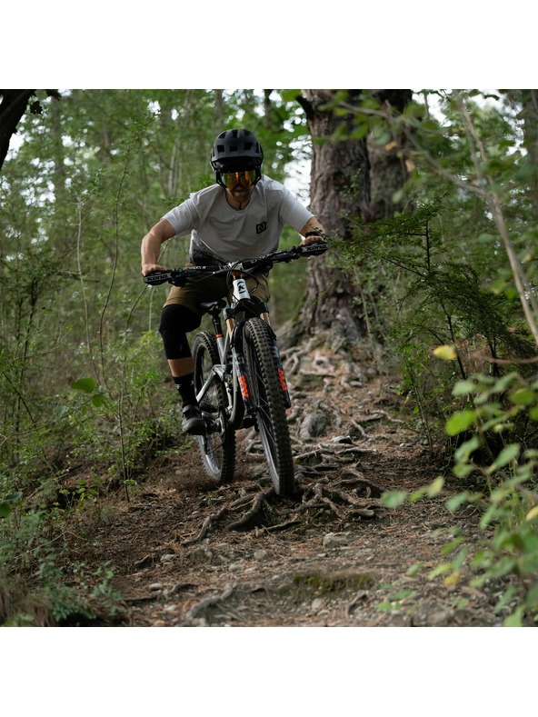 Horsefeathers Fahrradtrikot Quantum - Silberbirke/Schwarz HORSEFEATHERS