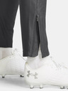Under Armour Damen Under Armour UA W's Ch. Pique Hose-GRY