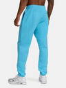 Under Armour Herren Under Armour UA Icon Fleece Jogger