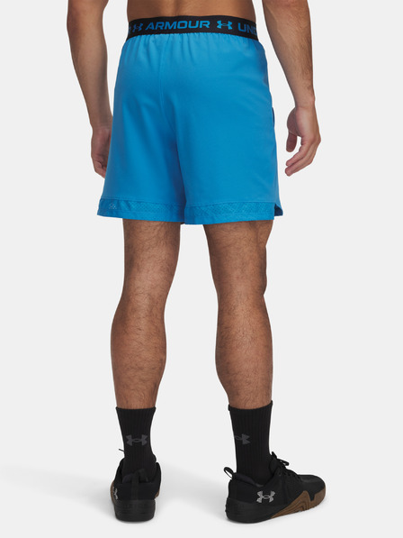 Under Armour Herren Under Armour UA Vanish Woven 6in Shorts