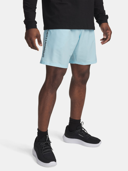 Under Armour Herren Under Armour UA Tech Woven Wordmark Short