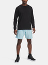 Under Armour Herren Under Armour UA Tech Woven Wordmark Short