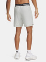 Under Armour Herren Under Armour UA Vanish Woven 6in Shorts