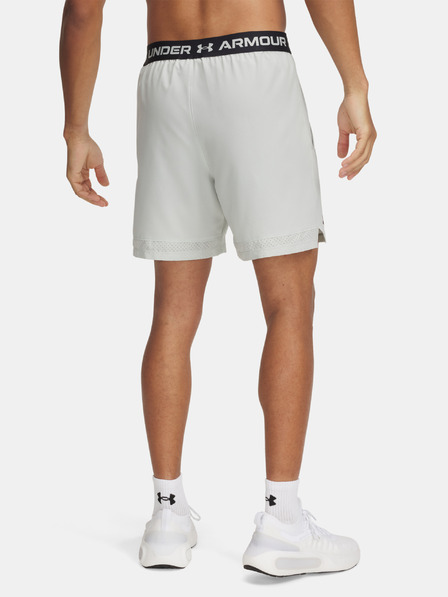 Under Armour Herren Under Armour UA Vanish Woven 6in Shorts