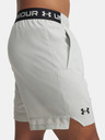 Under Armour Herren Under Armour UA Vanish Woven 6in Shorts