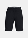 Under Armour Boys' Shorts Under Armour UA Vanish Shorts