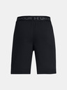 Under Armour Boys' Shorts Under Armour UA Vanish Shorts