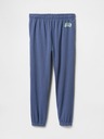 GAP Herren Sweatpants mit Fleece und Logo GAP