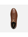 Geox Hellbraune Herren Geox Avola Turnschuhe