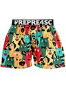 Represent Herren EXKLUSIV MIKE CAT FANS Shorts Repräsentieren