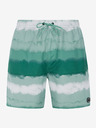 Protest Protest PRTHAMSEY Herren-Strandshorts