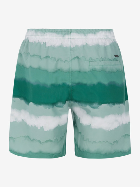Protest Protest PRTHAMSEY Herren-Strandshorts