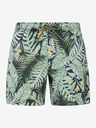 Protest Protest PRTGLORY Herren-Strandshorts