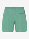 Protest Herren-Badeshorts Protest DAVEY