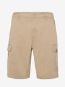 Protest Herren-Shorts Protest PRTNYTRO