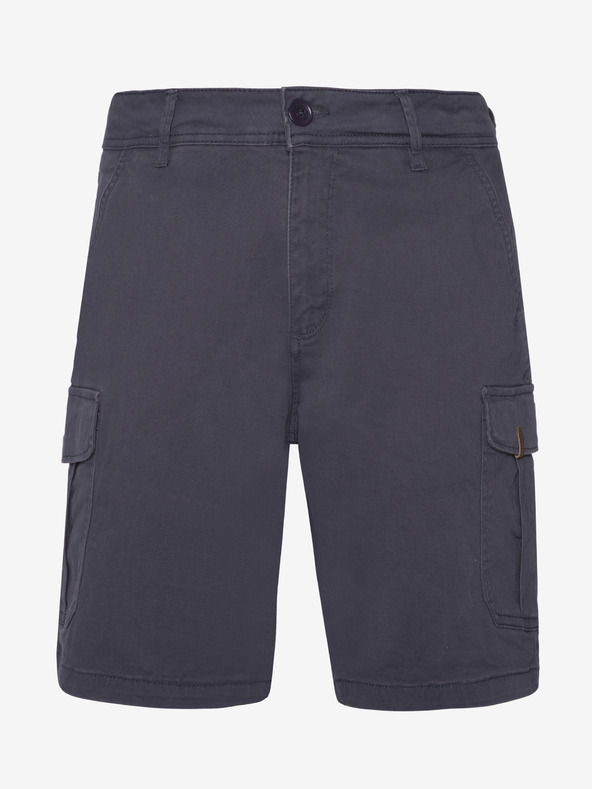 Protest Herren-Shorts Protest PRTNYTRO