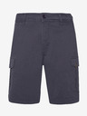 Protest Herren-Shorts Protest PRTNYTRO