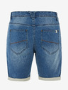 Protest Herren-Shorts Protest PRTYLVOR