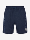 Protest Herrenshorts Protest PRTULEY