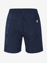 Protest Herrenshorts Protest PRTULEY
