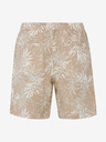 Protest Herrenshorts Protest PRTSPARK