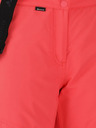 Whistler Damen Skihose Whistler Drizzle W