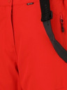 Whistler Damen Skihose Whistler DRIZZLE