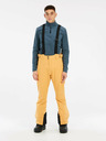 Protest Herren-Skihose Protest PRTROWENS