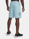 Under Armour Herren Under Armour UA TECH GRAPHIC SHORT