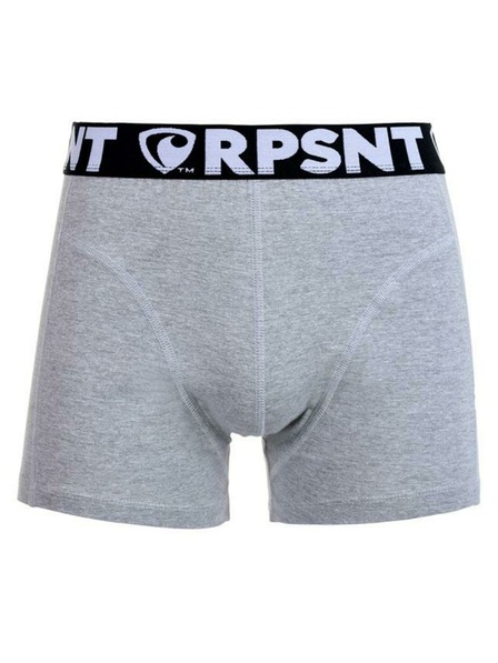 Represent Herrenshorts EXCLUSIVE SPORT GREY Repräsentieren