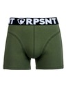 Represent Herrenshorts EXCLUSIVE SPORT GREEN Repräsentieren