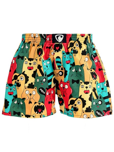 Represent Herren EXCLUSIVE ALI CAT FANS Shorts Repräsentieren