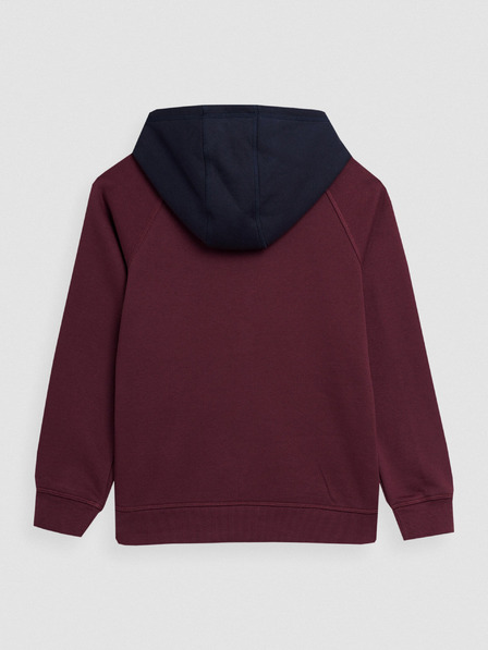 4F Jungen Baumwoll-Sweatshirt