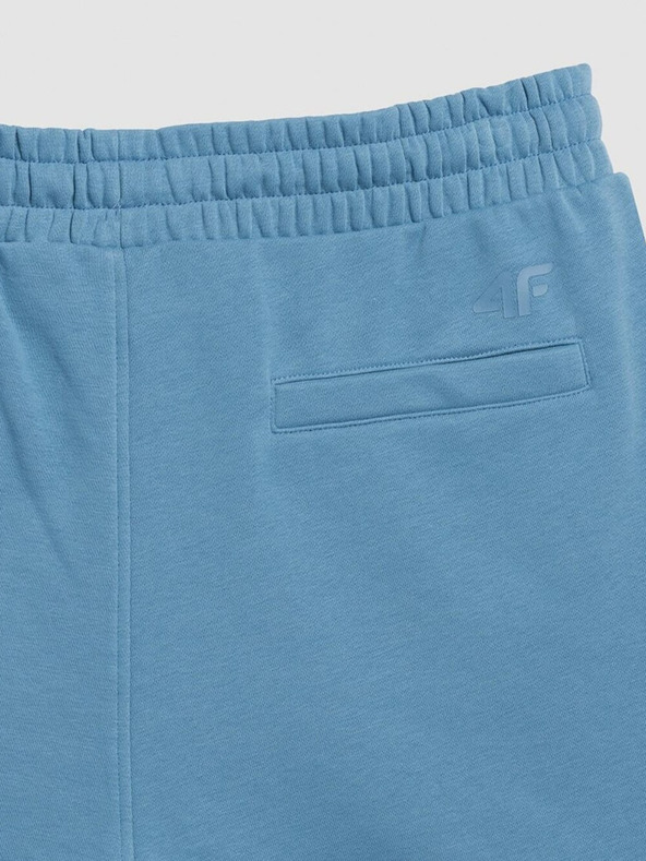 4F Herren Baumwoll-Shorts 4F