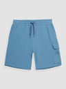 4F Herren Baumwoll-Shorts 4F