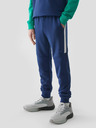 4F Jogginghosen für Jungen 4F