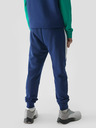 4F Jogginghosen für Jungen 4F