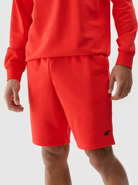 4F Herren 4F Shorts