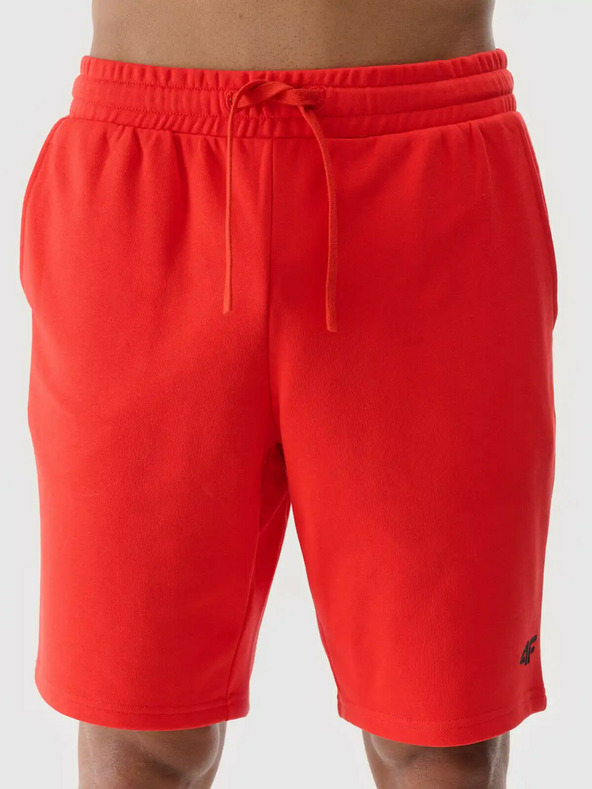 4F Herren 4F Shorts